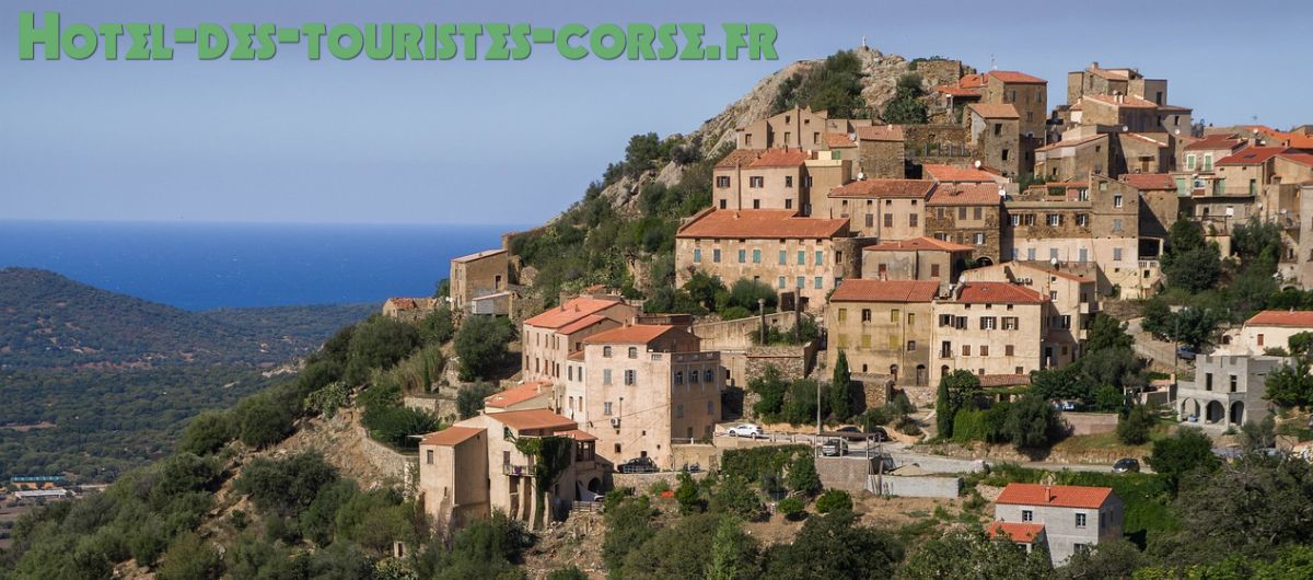 hotel-des-touristes-corse.fr